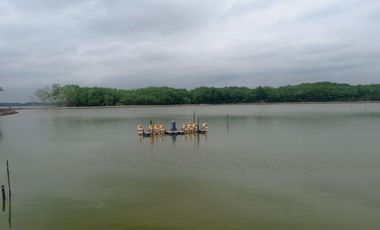 Se vende Camaronera en Isla frente Puerto Bolivar