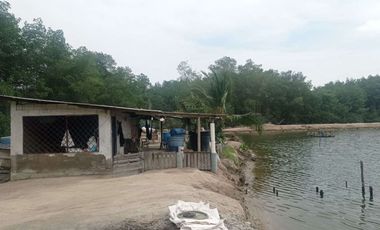 Se vende Camaronera en Isla frente Puerto Bolivar