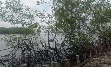 Se vende Camaronera en Isla frente Puerto Bolivar