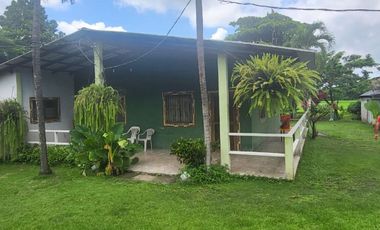 Alquilo finca porcina Santa Lucia Via Cabuyal