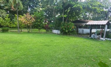 Alquilo finca porcina Santa Lucia Via Cabuyal