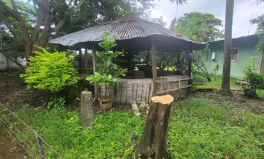 Alquilo finca porcina Santa Lucia Via Cabuyal