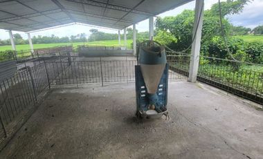 Alquilo finca porcina Santa Lucia Via Cabuyal