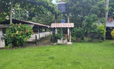 Alquilo finca porcina Santa Lucia Via Cabuyal