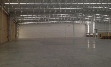 Bodega industrial en Renta, Av. Purina, Puerto Interior.