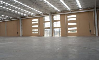 Bodega industrial en Renta, Av. Purina, Puerto Interior.