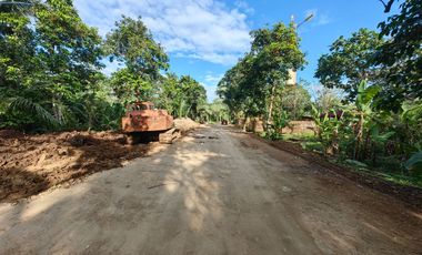 200 Sqm Residential Farm Lot in Dagatan Amadeo Cavite