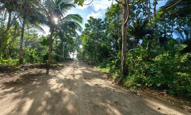 200 Sqm Residential Farm Lot in Dagatan Amadeo Cavite