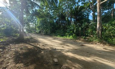 200 Sqm Residential Farm Lot in Dagatan Amadeo Cavite