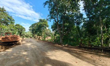 200 Sqm Residential Farm Lot in Dagatan Amadeo Cavite