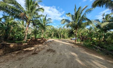 200 Sqm Residential Farm Lot in Dagatan Amadeo Cavite