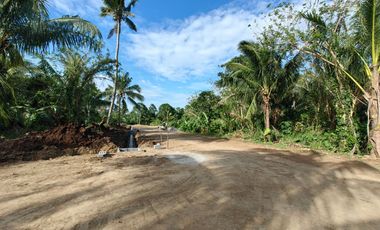 200 Sqm Residential Farm Lot in Dagatan Amadeo Cavite