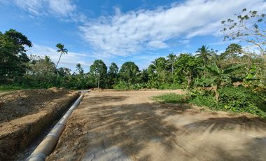 200 Sqm Residential Farm Lot in Dagatan Amadeo Cavite