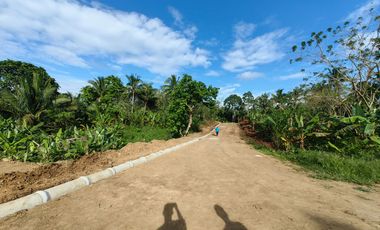 200 Sqm Residential Farm Lot in Dagatan Amadeo Cavite