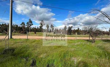 Parcela PLANA Litueche (no inundable) Coordine su visita 🌧☔️👍