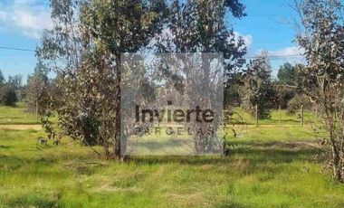 Parcela PLANA Litueche (no inundable) Coordine su visita 🌧☔️👍