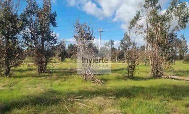 Parcela PLANA Litueche (no inundable) Coordine su visita 🌧☔️👍