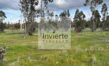 Parcela PLANA Litueche (no inundable) Coordine su visita 🌧☔️👍