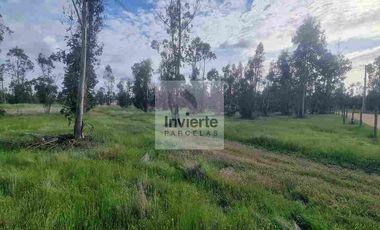 Parcela PLANA Litueche (no inundable) Coordine su visita 🌧☔️👍