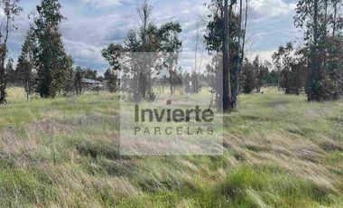 Parcela PLANA Litueche (no inundable) Coordine su visita 🌧☔️👍