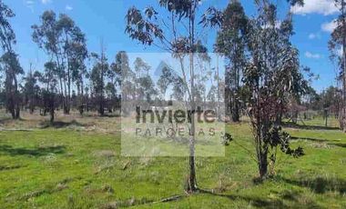 Parcela PLANA Litueche (no inundable) Coordine su visita 🌧☔️👍