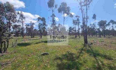 Parcela PLANA Litueche (no inundable) Coordine su visita 🌧☔️👍