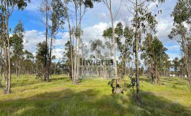 Parcela PLANA Litueche (no inundable) Coordine su visita 🌧☔️👍