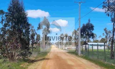 Parcela PLANA Litueche (no inundable) Coordine su visita 🌧☔️👍