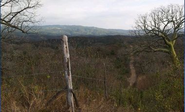 SE VENDE DE OPORTUNIDAD FINCA PARA INDUSTRIA O AGRÍCOLA, 199 HAS. JARAMIJO - MANABI - ECUADOR