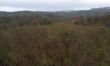 SE VENDE DE OPORTUNIDAD FINCA PARA INDUSTRIA O AGRÍCOLA, 199 HAS. JARAMIJO - MANABI - ECUADOR