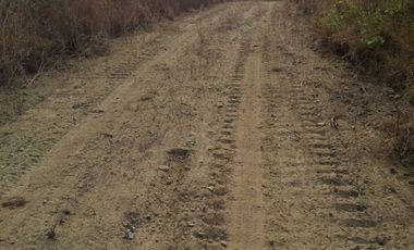 SE VENDE DE OPORTUNIDAD FINCA PARA INDUSTRIA O AGRÍCOLA, 199 HAS. JARAMIJO - MANABI - ECUADOR
