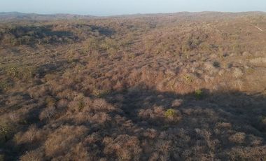 SE VENDE DE OPORTUNIDAD FINCA PARA INDUSTRIA O AGRÍCOLA, 199 HAS. JARAMIJO - MANABI - ECUADOR