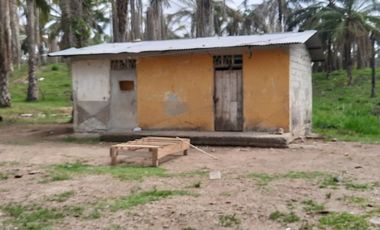 FINCA AGRÍCOLA EN VENTA 48 HAS.  BOCANA DEL BUA – MONTERREY - LA CONCORDIA - ECUADOR