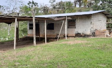 FINCA AGRÍCOLA EN VENTA 48 HAS.  BOCANA DEL BUA – MONTERREY - LA CONCORDIA - ECUADOR