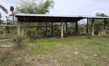 FINCA AGRÍCOLA EN VENTA 48 HAS.  BOCANA DEL BUA – MONTERREY - LA CONCORDIA - ECUADOR