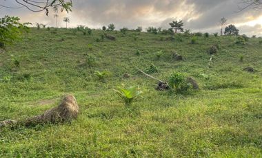 FINCA AGRÍCOLA EN VENTA 48 HAS.  BOCANA DEL BUA – MONTERREY - LA CONCORDIA - ECUADOR