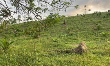 FINCA AGRÍCOLA EN VENTA 48 HAS.  BOCANA DEL BUA – MONTERREY - LA CONCORDIA - ECUADOR
