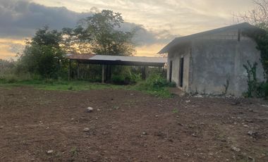 FINCA AGRÍCOLA EN VENTA 48 HAS.  BOCANA DEL BUA – MONTERREY - LA CONCORDIA - ECUADOR