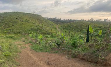 FINCA AGRÍCOLA EN VENTA 48 HAS.  BOCANA DEL BUA – MONTERREY - LA CONCORDIA - ECUADOR