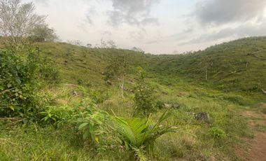 FINCA AGRÍCOLA EN VENTA 48 HAS.  BOCANA DEL BUA – MONTERREY - LA CONCORDIA - ECUADOR