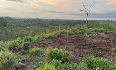FINCA AGRÍCOLA EN VENTA 48 HAS.  BOCANA DEL BUA – MONTERREY - LA CONCORDIA - ECUADOR