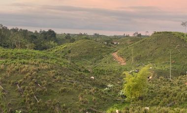 FINCA AGRÍCOLA EN VENTA 48 HAS.  BOCANA DEL BUA – MONTERREY - LA CONCORDIA - ECUADOR
