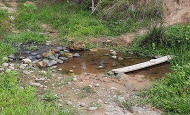 FINCA AGRÍCOLA EN VENTA 48 HAS.  BOCANA DEL BUA – MONTERREY - LA CONCORDIA - ECUADOR