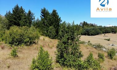 VILLARRICA Sector Villa Alegre a 19 km de Villarrica por ruta Interlagos COD.VTAP010