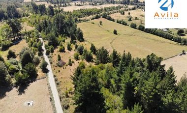 VILLARRICA Sector Villa Alegre a 19 km de Villarrica por ruta Interlagos COD.VTAP010