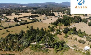 VILLARRICA Sector Villa Alegre a 19 km de Villarrica por ruta Interlagos COD.VTAP010