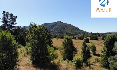 VILLARRICA Sector Villa Alegre a 19 km de Villarrica por ruta Interlagos COD.VTAP010