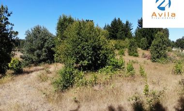 VILLARRICA Sector Villa Alegre a 19 km de Villarrica por ruta Interlagos COD.VTAP010