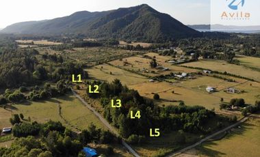 VILLARRICA Sector Villa Alegre a 19 km de Villarrica por ruta Interlagos COD.VTAP010