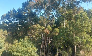 Espectácular e impecable depto. en Jardín Suizo